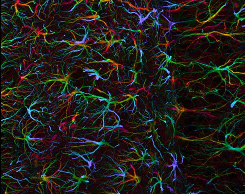 All Connected - Anan Shtaya